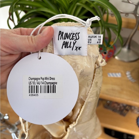 NWT Princess Polly CHAMPAGNE POP MINI DRESS Dragon Print Slip Dress Y2K SZ10 - Picture 6 of 7